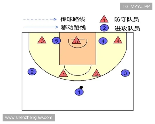 南京排球队区域防守体系解析与战术应用探讨 南京排球队区域防守体系解析与战术应用探讨